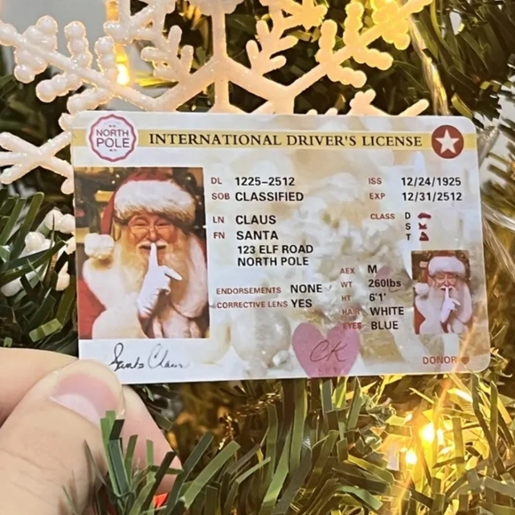 Santa Claus  Replacement Driver Sleigh Licence NWT - Picture 2 of 6